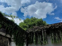 -绍兴鲁迅故里·沈园景区