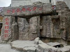 -长寿村