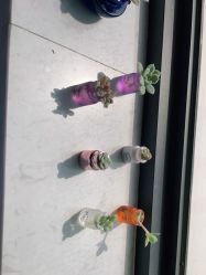 -尚艺造型.剪烫染.接发