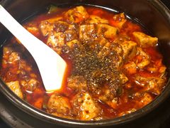 -陈麻婆豆腐总店