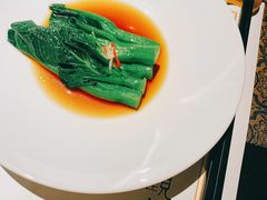 -觀芷隐轩