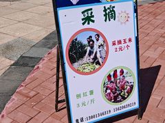-水高庄园售票处