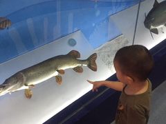 -陕西自然博物馆