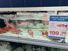 -盒马X会员店(上海森兰商都店)