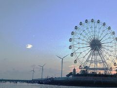 -奉贤海滩