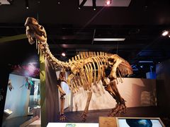 -墨尔本博物馆(Melbourne Museum)