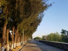 -宝安西湾红树林湿地公园