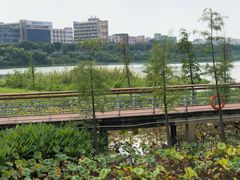 -立新湖公园