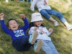 -前小桔亲子创意农场·草莓采摘·露营烧烤