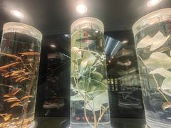 -广东中医药博物馆