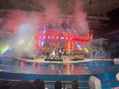 -三亚海昌梦幻海洋不夜城