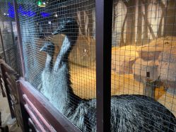 点击看大图 -酷嗒动物文化乐园(cutezoo西溪乐天城店)