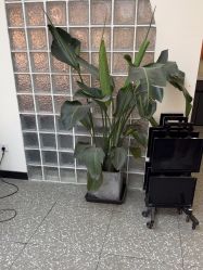 点击看大图 -HD HAIR STYLE