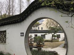 -上海醉白池公园