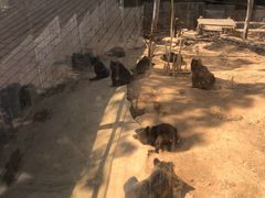 -泉州海丝野生动物世界