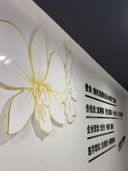 -洁铭新加坡医美