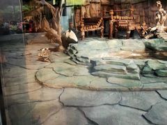 -泉州海丝野生动物世界