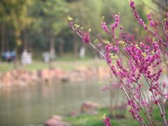 -大宁灵石公园西门票处