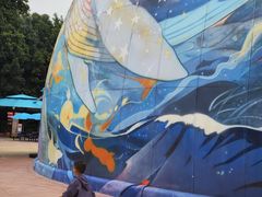 -海合安成都极地海洋公园