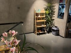 -施奈儿.洗头頭療.按摩SPA.采耳(上梅林店)