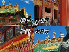 -大召无量寺