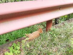-宝界山林公园