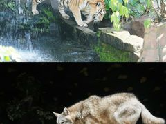 -长鹿旅游休博园
