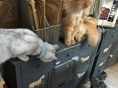 -小时光咖啡馆(北锣鼓巷店)