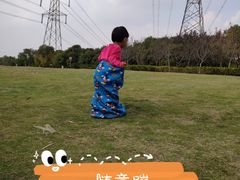 -九里河湿地公园