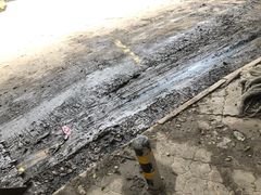 -王浩儿纪六孃甜皮鸭(乐山总店)