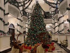 -LONG BAR 廊吧(外滩华尔道夫酒店)