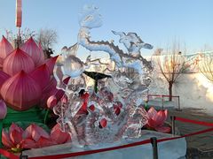 -长春市南湖公园