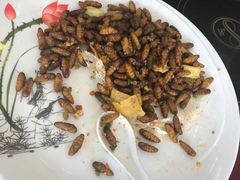 -水乡人家私房菜(逢简店)