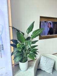 -南京美莱医疗美容·旗舰店