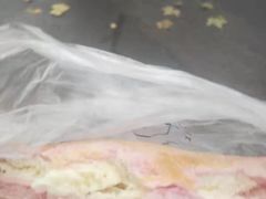 火龙果奶酪-野上麦田(中贸广场店)