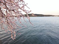 -颐和园