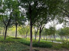 -回龙观体育文化公园
