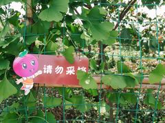 -樱桃山旅游景区