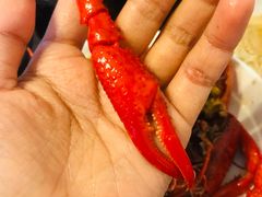 -巴厘龙虾·榜首油焖大虾(音乐学院·沿江酒馆店)