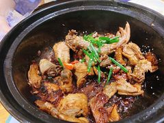 姜母鸭-鑫阿强海鲜大排档·老厦门特色菜(中山路店)