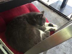 -MIKAKU(万达广场上海宝山店)