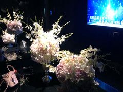 -黑桃K生日订制KTV