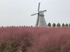 -金卉庄园