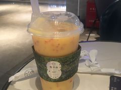 -野萃山·潮汕厚果汁(十亩地店)