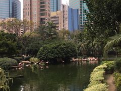 -九龙公园