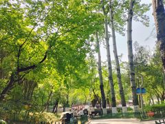 -西安市长乐公园