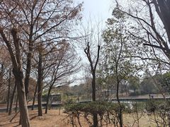 -同里国家湿地公园