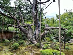 -三千院