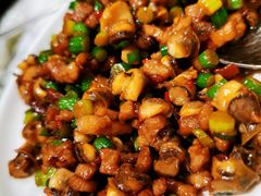 小炒螺丝-开海·红岛海鲜虾水饺(石老人店)