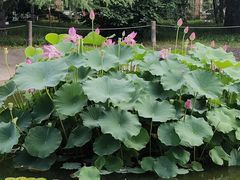 -国家植物园南园